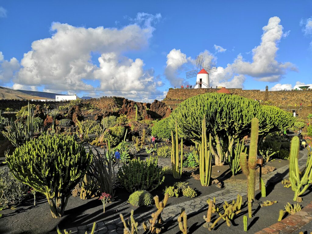 Kaktusgarten Cesar Manrique Lanzarote